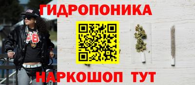 стафф Берёзовский