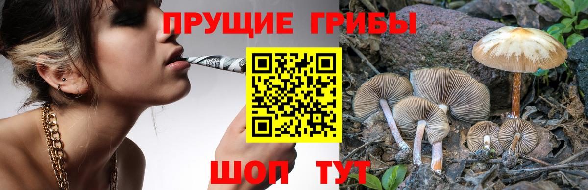 Псилоцибиновые грибы Magic Shrooms Каменск-Шахтинский