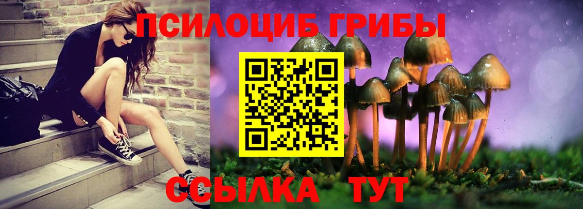 Псилоцибиновые грибы Psilocybine cubensis  Галлюциногенные грибы GOLDEN TEACHER  Вход с VPN  Каменск-Шахтинский 
